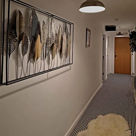Modern And Spacious